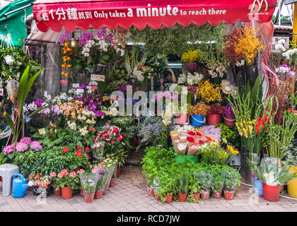 Isola di Hong Kong, Cina - 12 Maggio 2010: Closeup di avvio del mercato lungo la strada per vendere una abbondanza di fiori colorati e piante. Il tetto rosso sport adve Foto Stock