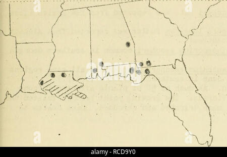 . Malattie del cotone, canna da zucchero, alberi da bosco, piante ornamentali e varie piante negli Stati Uniti in 1919. Le piante da fibra Malattie e Pesti Stati Uniti; zucchero colture Malattie e Pesti Stati Uniti; gli alberi Malattie e Pesti Stati Uniti; piante ornamentali, malattie e pesti negli Stati Uniti. Marciume Rosso e Red Stripe causato ly Golletot: richuni faloaturo 28G. Marciume rosso e rosso sono stati segnalati da Georgia, Florida, Alatama, Louisiana e Texas. In Louisiana la malattia si è diffusa. In Alatama era atundant. Pit.. 5*^. Mostra la posizione delle aree di marciume rosso nella parte meridionale della canna da zucchero essere Foto Stock
