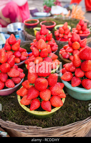 Fragola per il mercato a Mahabaleshwar vicino a Pune, Maharashtra, India Foto Stock