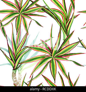 Dracaena marginata tricolore. Acquerello illustrazione dello sfondo impostato. Perfetta configurazione di sfondo. Foto Stock