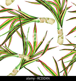 Dracaena marginata tricolore. Acquerello illustrazione dello sfondo impostato. Perfetta configurazione di sfondo. Foto Stock