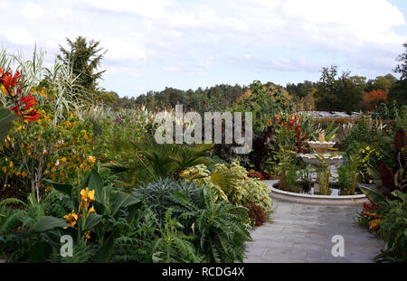 RHS Wisley giardino esotico IN AUTUNNO Foto Stock