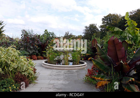 RHS Wisley giardino esotico IN AUTUNNO Foto Stock