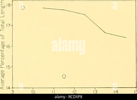 . Rapporti di ricerca. Discovery (nave); spedizioni scientifiche; Ocean; Antartide; Isole Falkland. 15 10 II 12 13 Lunghezza di balena in metri 19. Maschi di Megattera. Misura n. 21. Massima larghezza del cranio.. II 12 13 Lunghezza di balena in metri di Fig. 19. Maschi di Megattera. Misurazione Fig. 20 I grafici sono da dati ottenuti alla Georgia del Sud. I dati del Sud Africa sono indicati da O. femmina balene Humpback. Misura n. 21. Massima larghezza del cranio. Colore la colorazione generale dell'Humpback Whale è nera al di sopra e al di sotto di bianco, ma, come è ben noto, una grande varietà di singoli Foto Stock