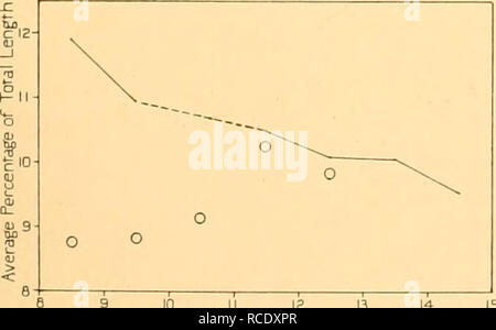 . Rapporti di ricerca. Discovery (nave); spedizioni scientifiche; Ocean; Antartide; Isole Falkland. Lunghezza della balena in metri di Fig. 14. Femmina balene Humpback. Misura n. 12. Tacca di passera nera alla fine del sistema di scanalature ventrale.. 9 10 II la 13 14 è la lunghezza della balena in metri di Fig. 15. Maschi di Megattera. Misura n. 13. Centro di ano al centro della apertura riproduttiva. I grafici sono da dati ottenuti in Georgia del Sud DXVII. Si prega di notare che queste immagini vengono estratte dalla pagina sottoposta a scansione di immagini che possono essere state migliorate digitalmente per la leggibilità - Colorazione e aspetto di questi ho Foto Stock