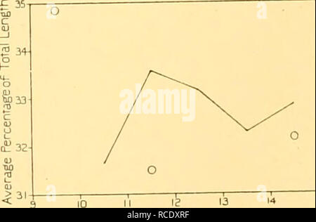 . Rapporti di ricerca. Discovery (nave); spedizioni scientifiche; Ocean; Antartide; Isole Falkland. 10 II 12 13 14 1= lunghezza della balena in metri di Fig. 6. Femmina balene Humpback. Misura n. 5. Punta del muso al centro dell'occhio. Si 33- oi 32 Q  "T •E 35 10 II 12 13 Lunghezza di balena in metri di Fig. 7. Maschi di Megattera. Misura n. 8. Tacca di passera nera a posteriore emarginazione di pinna dorsale.. lb 11 12 13 Lunghezza di balena in metri di Fig. 8. Femmina balene Humpback. Misura n. 8. Tacca di passera nera a posteriore emarginazione di pinna dorsale. I grafici sono da dati ottenuti alla Georgia del Sud. D Foto Stock