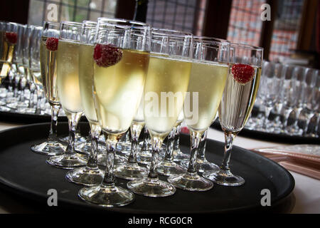 Vassoio di champagne in scanalature di nozze. Foto Stock