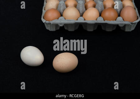 Due uova di gallina in feltro nero lo sfondo con una scatola di cartone piena di uova Foto Stock