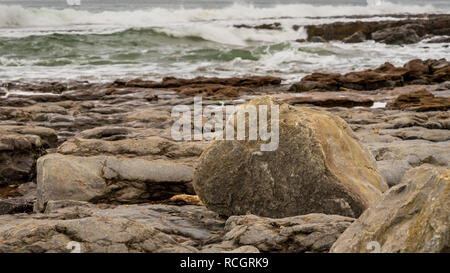 Grandi pietre su una spiaggia con acqua avvicinando in background, visto a Cocklawburn Beach vicino a Berwick-upon-Tweed in Northumberland, England, Regno Unito Foto Stock