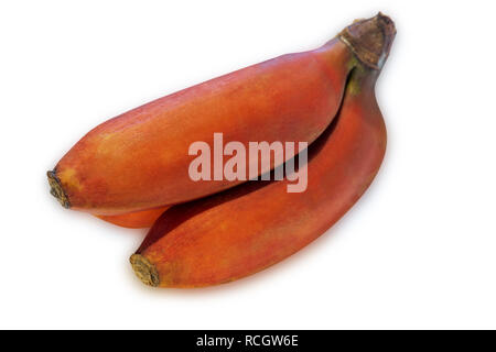 Piccole banane rosso isolato su sfondo bianco. Foto Stock