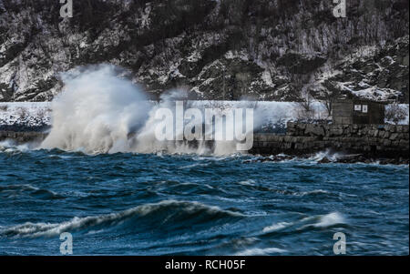 Tempesta di neve su Trondheimsfjorden, le onde che si infrangono sulla riva. Foto Stock