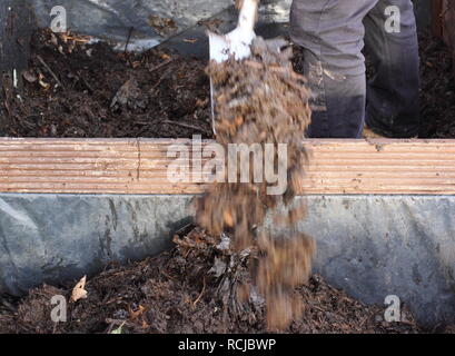 La rotazione di un palo di composto agli aiuti di aerazione e di allentare la miscela in inverno su un riparto garden, REGNO UNITO Foto Stock