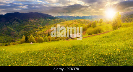 Il tarassaco sul campo rurale nelle montagne al tramonto nella luce della sera. bellissimo paesaggio primaverile. villaggio nella valle di distanza. Foto Stock