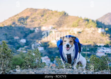 Viaggiare con il concetto di pet con il cane con zaino seduti sulla cima della montagna con altre montagne a sfondo Foto Stock