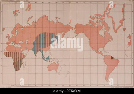 . Die geographische Verbreitung der jetzt lebenden Raubthiere. Carnivora; faunistica. XaroAcla CFIAtad-Cl'ntntrVfll IM.. Om ", c. UrvT* g^nui l lycée40D. 0"Da8 ö IcticyoD. Verbreitung der Familie Canidae. Greve in Chianti: Raubthiere. Taf.12.. Si prega di notare che queste immagini vengono estratte dalla pagina sottoposta a scansione di immagini che possono essere state migliorate digitalmente per la leggibilità - Colorazione e aspetto di queste illustrazioni potrebbero non perfettamente assomigliano al lavoro originale. Greve, Karl, 1854-. Halle : druck von E. Blochmann &AMP; Sohn in Dresden : für die Akademie in commissione bei Wilh. Engelmann di Lipsia Foto Stock
