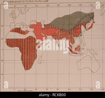 . Die geographische Verbreitung der jetzt lebenden Raubthiere. Carnivora; faunistica. XamMtn.Aaid.Cl.Cll.iit.Ctir.yi&GT;L L. wv^- "0 uo IM eo en lo 20. Si prega di notare che queste immagini vengono estratte dalla pagina sottoposta a scansione di immagini che possono essere state migliorate digitalmente per la leggibilità - Colorazione e aspetto di queste illustrazioni potrebbero non perfettamente assomigliano al lavoro originale. Greve, Karl, 1854-. Halle : druck von E. Blochmann &AMP; Sohn in Dresden : für die Akademie in commissione bei Wilh. Engelmann di Lipsia Foto Stock