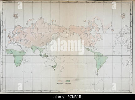 . Die geographische verbreitung der säugthiere dargestellt. Ecologia animale. . Si prega di notare che queste immagini vengono estratte dalla pagina sottoposta a scansione di immagini che possono essere state migliorate digitalmente per la leggibilità - Colorazione e aspetto di queste illustrazioni potrebbero non perfettamente assomigliano al lavoro originale. Wagner, Andreas Johann, 1797-1861. [München : s. n. ] Foto Stock
