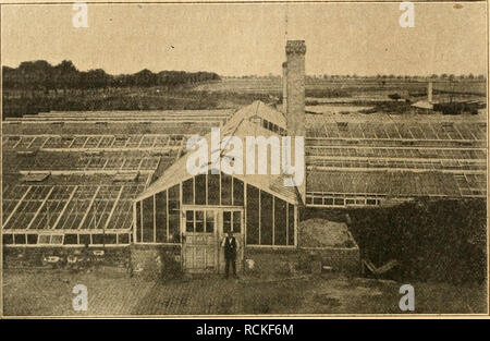 . Die Gartenwelt. Il giardinaggio. Ä56 Die Gartenwelt. XXVI. 35. Die Zwillingsgärtnerei Noack-Schwarz, Berlin-Mariendorf, die zu den sehens- wertesten Anlagen in der näheren Umgebung gehört berlinese. Bild 1. Blick auf den DÖrdlicJien, der Marktpflanzenzucht dienenden Teil der Anlage. Der Ausbau , Unserer Berufsvertretungen. Von Richard Stavenhagen, Liegnitz. Die nachfolgenden Ausführungen gelten im besonderen Verbände dem Deutscher Gartenbaubetriebe. Diese Berufs- vertretung umfaßt alle Zweige des Erwerbsgartenbaues. Der große Einfluß auf den Beruf a circuizione Gesamtheit ist somit unbestreitbar. Damit wi Foto Stock