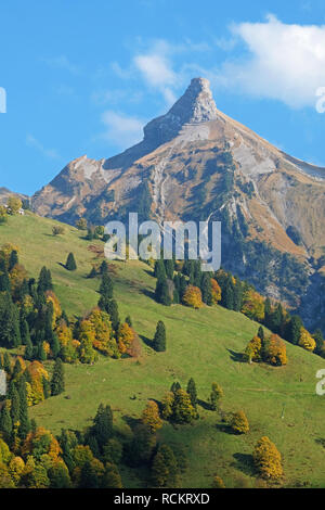 Vista dalla Waegitalersee lungolago a Zindlenspitz in splendidi colori autunnali, Svitto, Svizzera Foto Stock