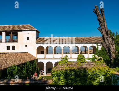 Corte del canale dell'acqua cortile, Generalife Palace, Alhambra Palace, Granada, Andalusia, Spagna Foto Stock