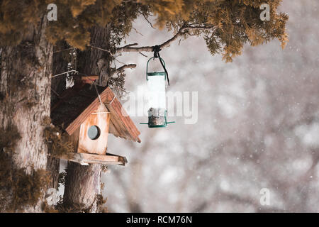 Scena invernale con neve e uccelli. Tranquilla e pacifica nevoso inverno foto della casa di passeri in birdhouse. Foto Stock