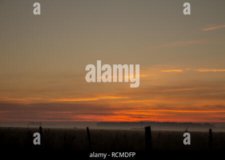 Alba nel campo. Nuvole tinti in colori caldi durante il sunrise. Ora d'oro. Foto Stock