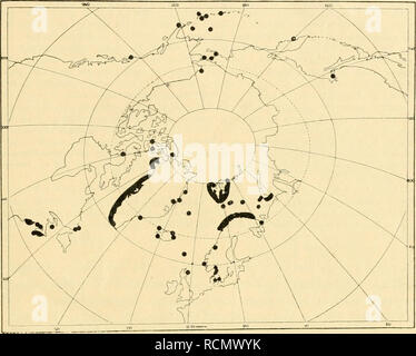 . Die Decapoden Crustaceen des Eisfjords. Crostacei; Crostacei. KUNGL. SV. VET. AKADEMIENS HANDLINGAR. La fascia 54. N:0 7. 9 1915; forner M. Sars 1858: "Finnmarken"). Kalte Fjorde in Westfinnmarken und den Lofoten (s. unten). -Jan Mayen (Koelbel 188 ü). Ostküsto von Island (Hansen 1908; ferner Appellüf 1900: "boreoarkti.scho Regione è- terre"). Xordostgrönland, Südostgrönland, Westgrönland, Xordwestgrönland (s. Stephen.sen 1913, ferner Kröter 1838, Walker 1860, Norman 1877, Miers 1880, Hansen 1887, 1908, 1909, Vanhöffen 1897, Oiilin 1895, 1901, 1901 Ortmann, Stepiien.^en 1912, 1912 a. 1910)." - Arca Foto Stock