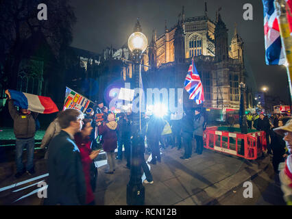 Westminster, Londra, Regno Unito. Il 15 gennaio, 2019. Dimostranti fuori le case del Parlamento la sera il "voto significativo" è tenuto con Theresa Maggio la trattativa Brexit votato in giù da 230 voti. Credito: Malcolm Park/Alamy Live News. Foto Stock