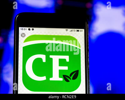 Kiev, Ucraina. 15 gennaio, 2019. Country Financial Insurance Company logo che si vede visualizzato su un telefono intelligente. Credito: Igor Golovniov SOPA/images/ZUMA filo/Alamy Live News Foto Stock