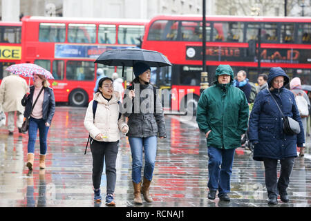 Westminster, Londra, Regno Unito. 16 gennaio, 2019. I turisti riparo dalla pioggia sotto un ombrello. Secondo il Met Office temperature di congelamento è atteso per ultimo nel prossimo mese. Credito: Dinendra Haria/Alamy Live News Foto Stock