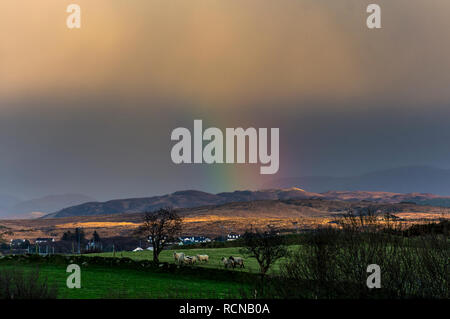 Ardara, County Donegal, Irlanda. 16 gennaio 2019. Un arcobaleno compare nel tardo pomeriggio sulle colline intorno al villaggio dopo una fredda giornata di sole e di docce. Credito: Richard Wayman/Alamy Live News Foto Stock