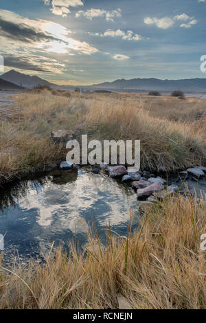 Un ripiego rock dam ha creato una piccola piscina di acqua lungo il ruscello a Tecopa Hot Springs, California Foto Stock