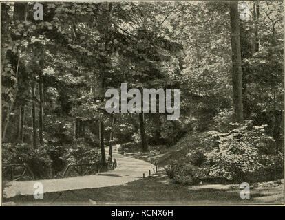 . Die Gartenwelt. Il giardinaggio. Â J9t Die G a r i c o n w c 11. V, 25 Aus deutschen GÃ¤rten. Aus dem Viktoria-Parke zu Berlin. su Camillo Karl Schneider, Friedenau. (Schlafs.) (Hierzu drei Abbildungen.) Wir sind nun auf , Unserer Wanderung am Denkmal (D)*) angelangt. Vor dem Aufgang' zur Plattform, von welcher sich eine weite Rundsicht Ã¼ber Berlin erÃ¶ffnet, der Park selbst aber nicht sehr in Geltung tritt, breitet sich ein freier Platz, den, wie wir schon erwÃ¤hnt, alte, malerische Akazien. Partie aus dem Viktoria-Parke (Blick 1âm). Vom Verfasser fiir die BGartenwclt" photographisch aufgenomm Foto Stock