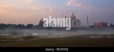 Taj Mahal mattina presto vista Foto Stock