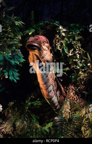 Madrid, Spagna. 15 gennaio, 2019. Parasaurolophus. Credito: Jorge Gonzalez/Pacific Press/Alamy Live News Foto Stock