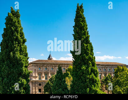 Carlos V Palace visto attraverso gli alberi, Alhambra di Granada, Andalusia, Spagna Foto Stock