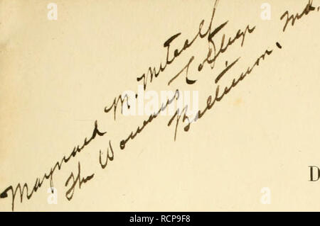. Die Chaetognathen : ihre anatomie, Systematik und Entwicklungsgechichte : eine Monographie. Chaetognatha. M DIE CHAETOGNATHEN IHRE ANATOMIE, SYSTEMATIK UND ENTWICKLUNGSGESCHICHTE. "^ EINE MONOGRAPHIE a ns^^^ rn VON Â Â")â i^^S il dottor OSCAR HERTWIG, S m â¡ 1. O. PKOFESSÃ¼R AN DER UNIVERSITÃT JENA. MIT 6 TAFELN. JENA, VERLAG VON GUSTAV FISCHER VORMALS FrIEDR. MAUKE. 1880.. Si prega di notare che queste immagini vengono estratte dalla pagina sottoposta a scansione di immagini che possono essere state migliorate digitalmente per la leggibilità - Colorazione e aspetto di queste illustrazioni potrebbero non perfettamente assomigliano al lavoro originale. H Foto Stock