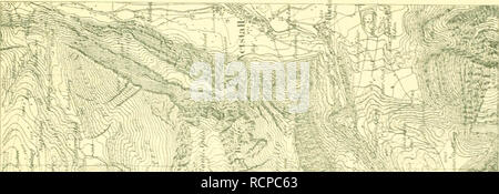 . Die Arve in der Schweiz : ein Beitrag zur Waldgeschichte Waldwirtschaft und der Schweizer Alpen. Le foreste e la silvicoltura. ]". Si prega di notare che queste immagini vengono estratte dalla pagina sottoposta a scansione di immagini che possono essere state migliorate digitalmente per la leggibilità - Colorazione e aspetto di queste illustrazioni potrebbero non perfettamente assomigliano al lavoro originale. Rikli, M. (Martin), b. 1868. Basel : Georg &AMP; Cie. Foto Stock