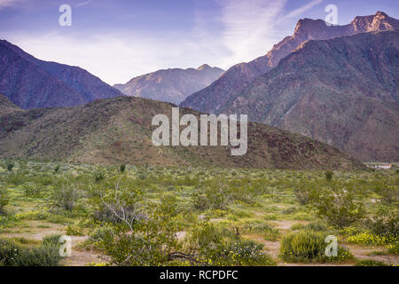 Paesaggio al tramonto in Anza Borrego Desert State Park durante la primavera, California Foto Stock