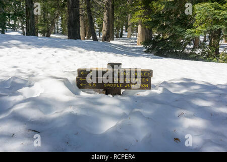 Trail sign almost buried in snow, Mount San Jacinto State Park, California Foto Stock