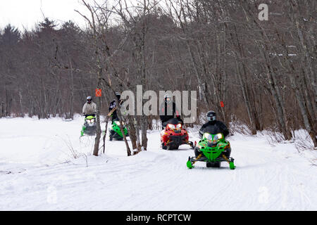 Quattro motoslitte a cavallo su un curato sentiero lungo il fiume Sacandaga Valley vicino a speculatore, NY USA Foto Stock