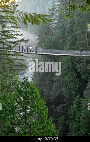 Ponte Sospeso di Capilano Park, North Vancouver, British Columbia, Canada Foto Stock