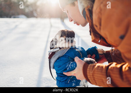 Pug dog passeggiate sulla neve con il suo maestro. Cucciolo indossando cappotto invernale Uomo che parla di pet nella foresta d'inverno. Indumenti per animali Foto Stock