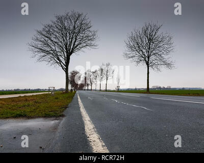 Basso angolo di una strada con alberi a parte, la nube di nebbia nella parte posteriore Foto Stock