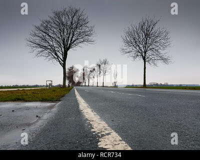 Basso angolo di una strada con alberi a parte, la nube di nebbia nella parte posteriore Foto Stock