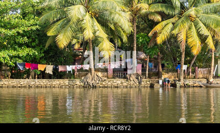 Viste dalla casa gita in barca lungo il Kerala Backwaters Foto Stock