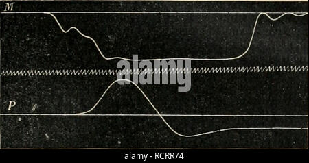 . Dictionnaire de physiologie. Fisiologia. La deglutizione. 749. Frcx. 95. Â Le tracÃ© supÃ©rieur reprÃ©sente la contrazione du groupe mylohyoÃ¯Jien. Le tracÃ© iufÃ¹ricur, celui de la muscolatura pharyngÃ©e aprÃ¨s l'eccitazione du laryngÃ©. La ligne ondulÃ©e intermÃ©diaire in- dique le centiÃ¨ITU* de seconde. DurÃ©e ^ 0,08 seconde environ. Nazioni Unite lapin fut IrucliÃ©ototnisÃ©, et dans la partie antÃ©rieui"o de l'Åsopiia^e su introduisit l'une des extrÃ©mitÃ©s et la branche horizontale d'onu en tubo X, l'ouverture symÃ©trique restant libre, et la branche horizontale, impaire, Ã©tait mise en communication au Foto Stock