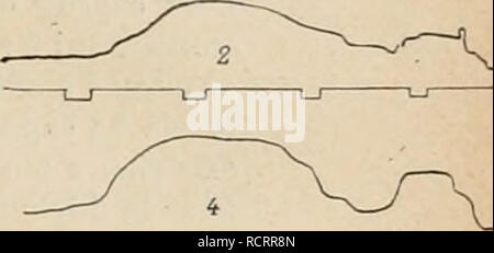 . Dictionnaire de physiologie. Fisiologia. La deglutizione. 737 Tracrs siinjtles inscrifs au moyen d'onu seul hall'&GT;n. -I r uj ur". Si prega di notare che queste immagini vengono estratte dalla pagina sottoposta a scansione di immagini che possono essere state migliorate digitalmente per la leggibilità - Colorazione e aspetto di queste illustrazioni potrebbero non perfettamente assomigliano al lavoro originale. Richet Charles Robert, 1850-1935; Langlois, Paolo, 1862-; Lapicque, Louis. Parigi : F. Alcan Foto Stock