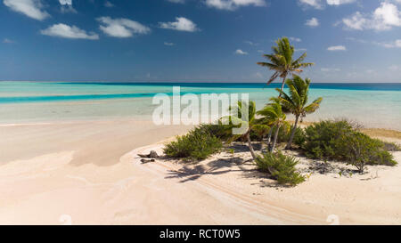 Piccola isola di Rangiroa Atoll, Tuamotu, Polinesia Francese Foto Stock