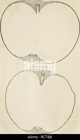 . Un dizionario di giardinaggio moderno. Il giardinaggio. AP P 46 APP Fig. 4.-(P. 44.). Si prega di notare che queste immagini vengono estratte dalla pagina sottoposta a scansione di immagini che possono essere state migliorate digitalmente per la leggibilità - Colorazione e aspetto di queste illustrazioni potrebbero non perfettamente assomigliano al lavoro originale. Johnson, George William, 1802-1886; Landreth, David. Philadelphia : Lea e Blanchard Foto Stock